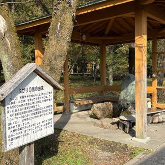 ここに水を汲みにくる人達結構いました🚰
