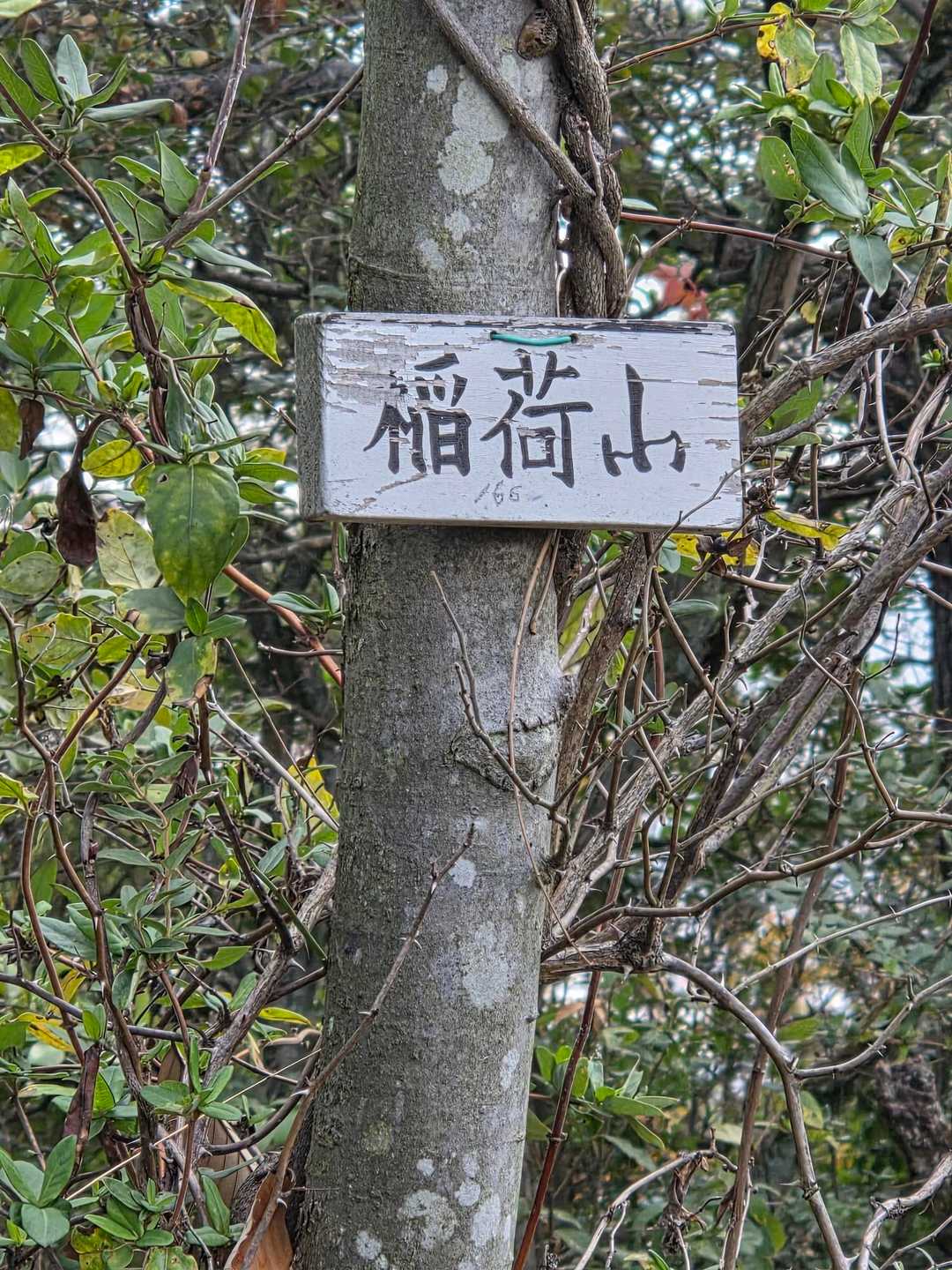 稲荷山北端古墳近くにある稲荷山山頂に到着