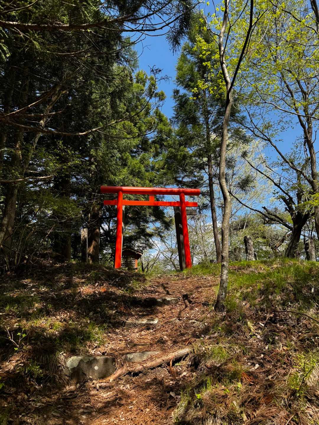 お邪魔します
🙏