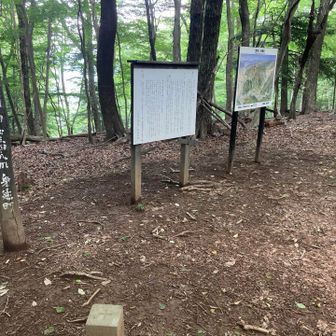 集落跡の先はやや勾配がキツくなります。

黙々と登り、醍醐山の山頂に到着！！
こちらも展望はありません。
同じく、三角点と山頂標識はありました。