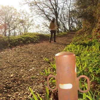 ”レレレ”
いつものレレレおじさんは、木曜日の今日はお休みですね？
