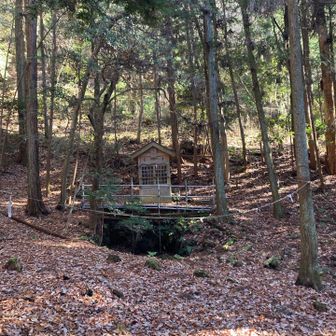 🙏　龍王山ピーク付近はちょっと迷いやすいかも。地図や踏み跡、リボン、しっかり確認すべし！