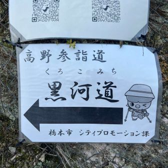 さて、がんばりましょう