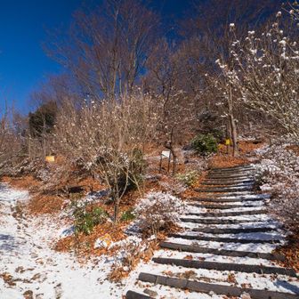 陽だまりハイク