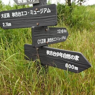 大正ヶ岳と展望地分岐