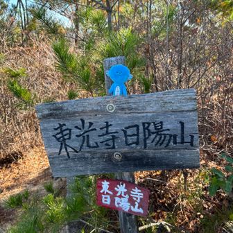 東光寺日陽山、登頂〜✨