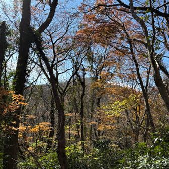 筑波山に向かう方向の眺め