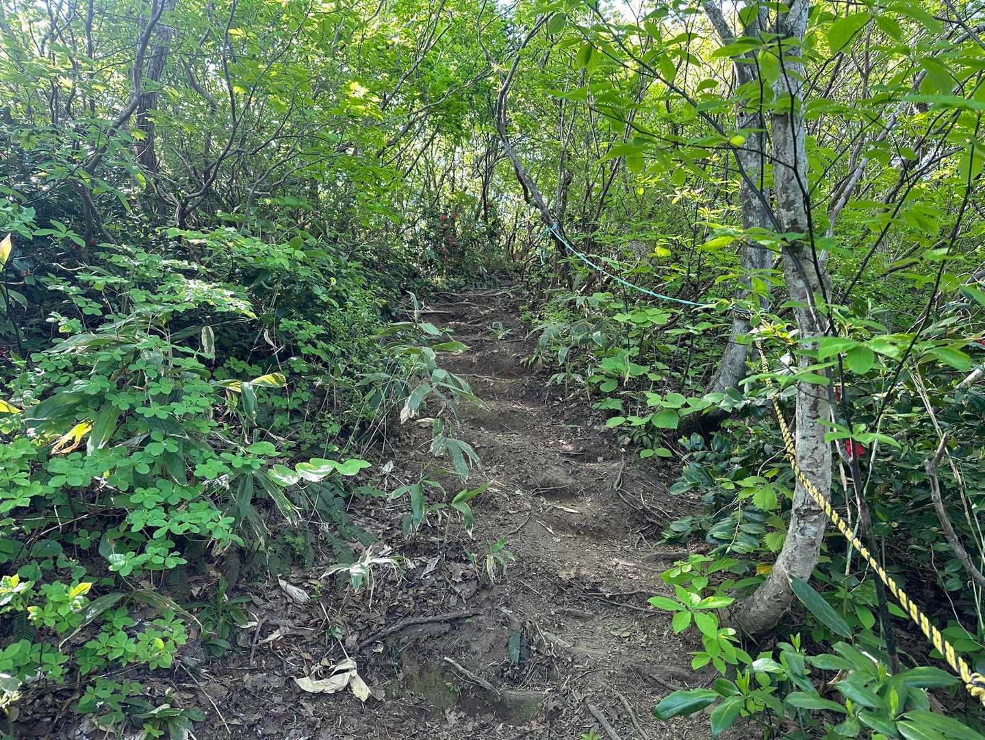 鎧ヶ峰への登り