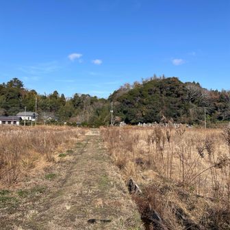 横断して右折。