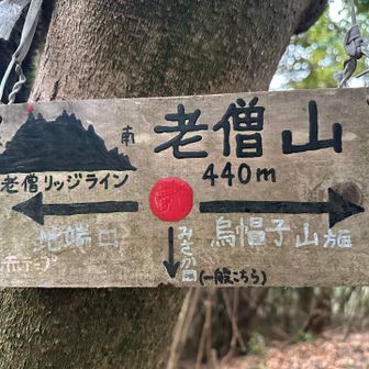 老僧山
縦走後半なのに恐ろしい急登でロープがなかったらヤバかった( ºﾛº)
老いた僧が修行してそうな山名だから楽勝なんじゃないの🤣？