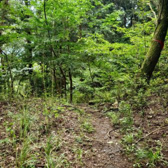 上川乗バス停に降ります