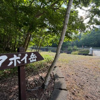 お邪魔します