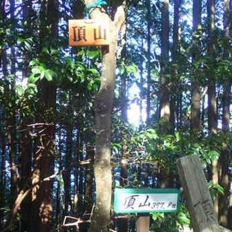 頂山頂上は眺望は無い