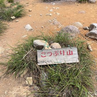 こつぶり山到着