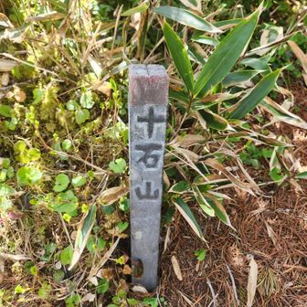 帰り際、危うく見落とす所だったよ(笑)
十石山(2524m)