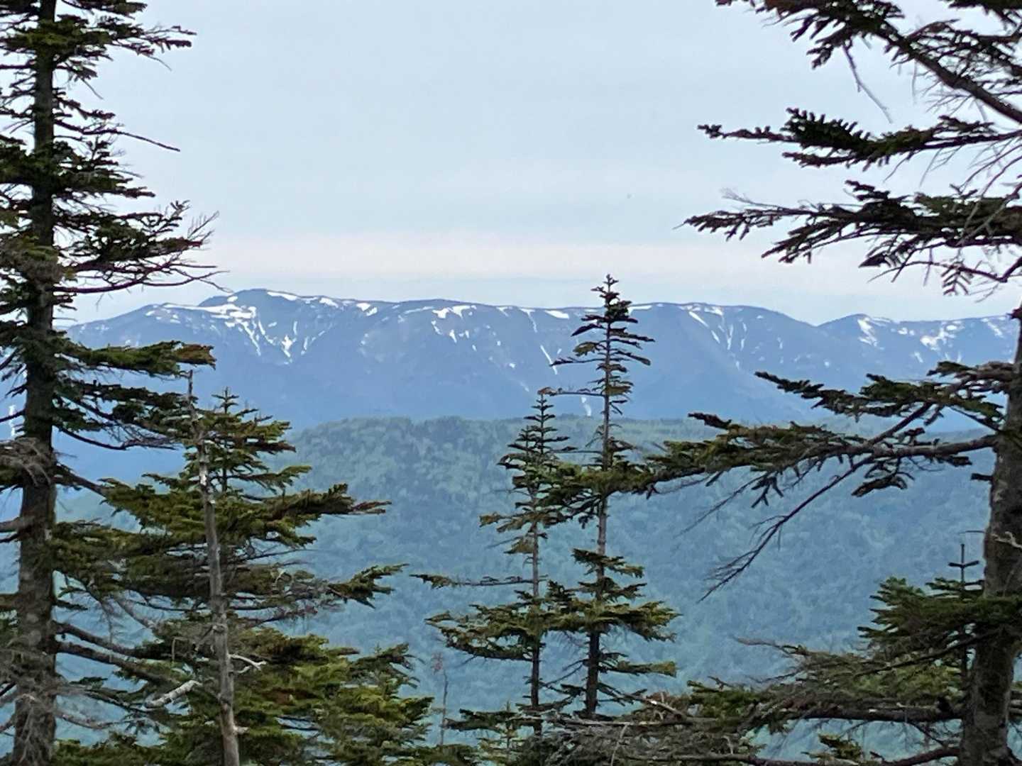 馬坂峠登山口-台倉高山 往復コースの写真