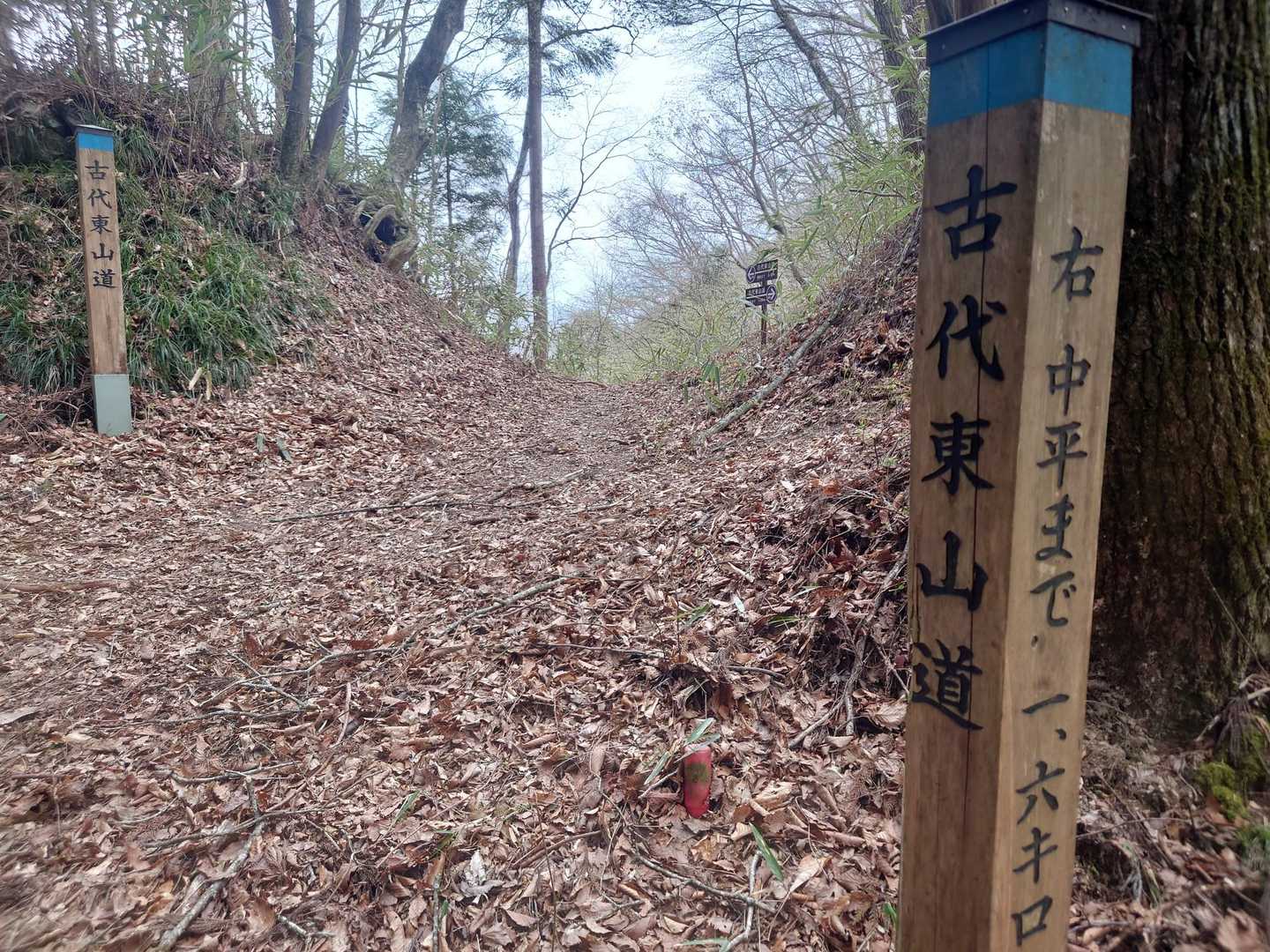 下の看板で見た古代東山道