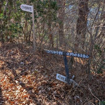 右は奈良倉山、松姫峠方面、今日は左のびりゅう館へ周回です