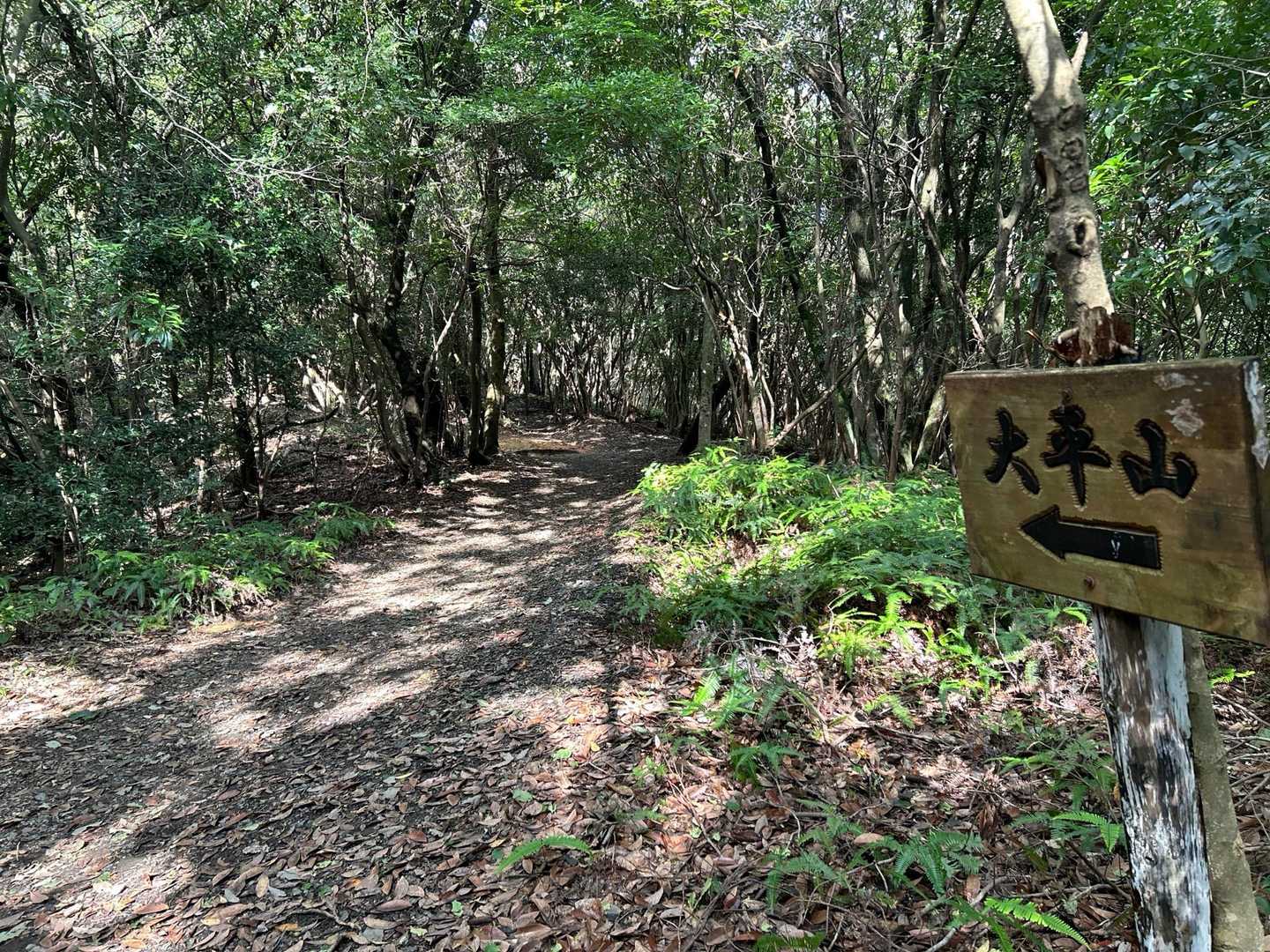 大平山往復 | 花や紅葉が美しい山歩道。広い山頂からの大パノラマもの写真