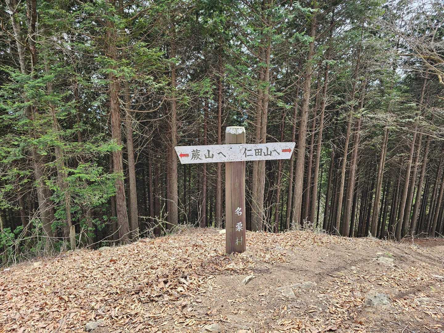 なんかずっと調子が出なくって
ここでお昼休憩しながら
この先にもある有間山(タタラの頭）は
時間的に無理ということで諦めることに。

なんで有間山いくつもあるんだ？と
思ったら、このあたりの山の総称って
地図に書いてあった。

仁田山、一生行ける気がしない😇