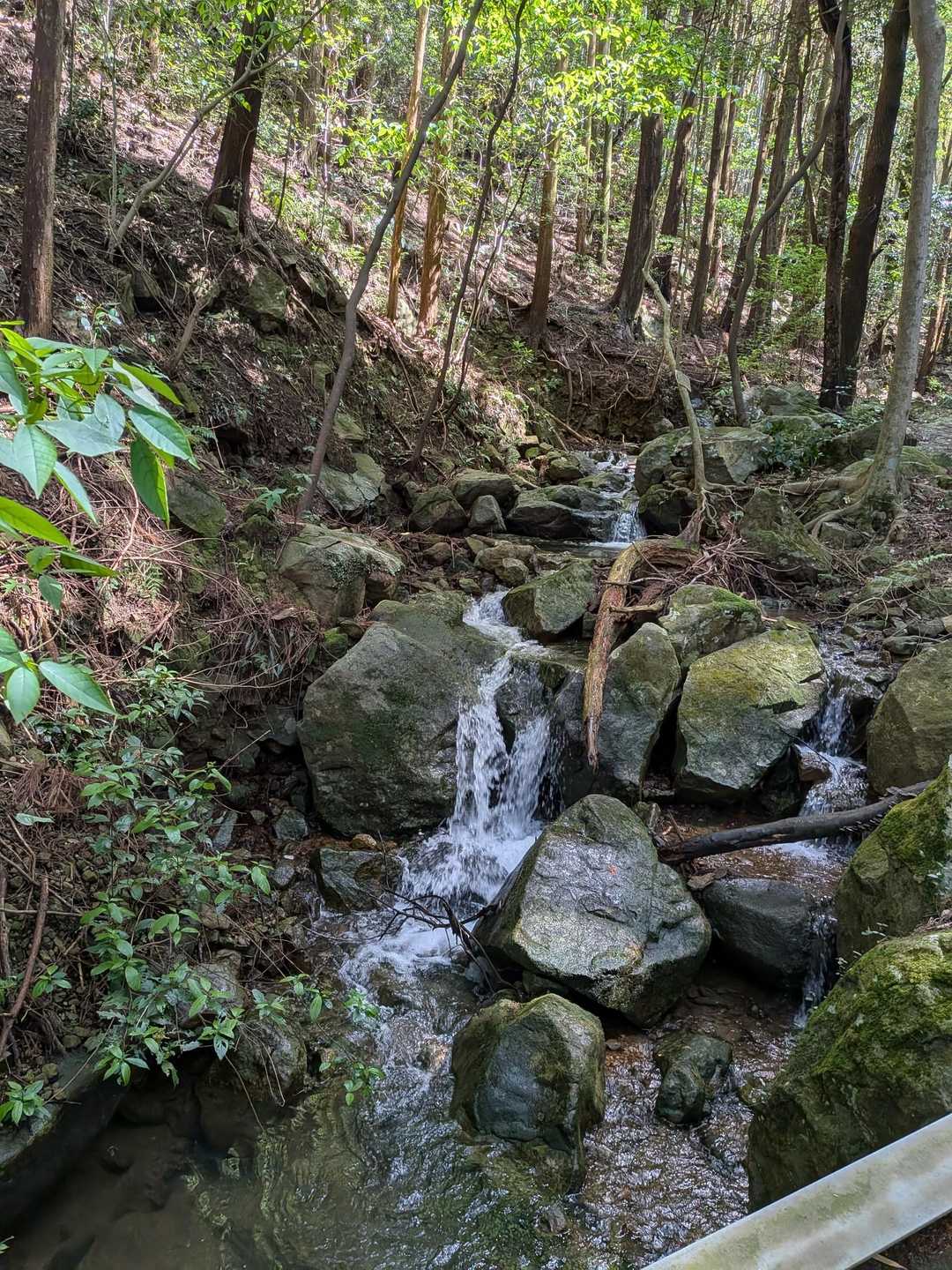 前日の雨で谷の水量もかなり多かったです