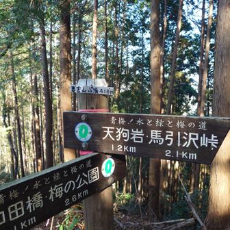 要害山山頂。展望なし