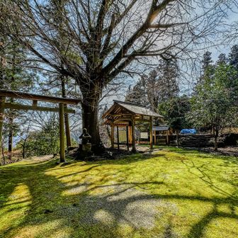 戒場山を降りると戒長寺
このお寺はイチョウの落葉を見に何度か訪れた事があります

奈良県の天然記念物、オハツキイチョウの巨木があり、秋はイチョウの落葉が境内一面を覆い美しいです
