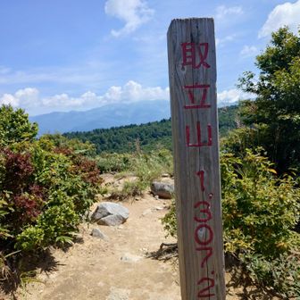山頂でご飯＝日陰争奪戦(笑)
ここで"あきひろさん"に会えて
声掛け☺️
暫し山談義､ありがとうごさいました(_ _)