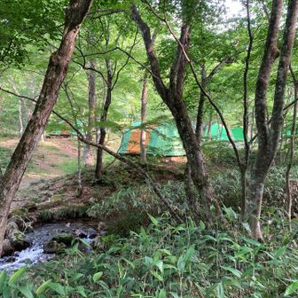 下山して来ました！
キャンプ場⛺️