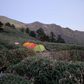 テン泊の方々の色とりどりのテント⛺