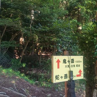 駐車場は半分ぐらい埋まっていました。