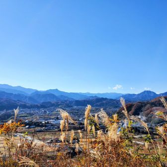 カフェから0円の景色✨贅沢！