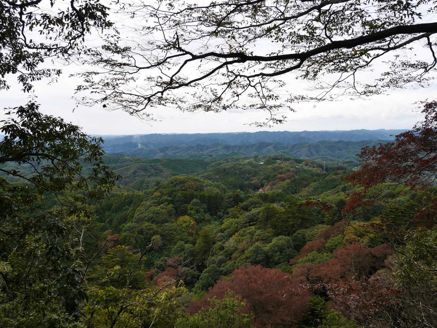 西金砂神社-西金砂山-地割 往復コースの写真