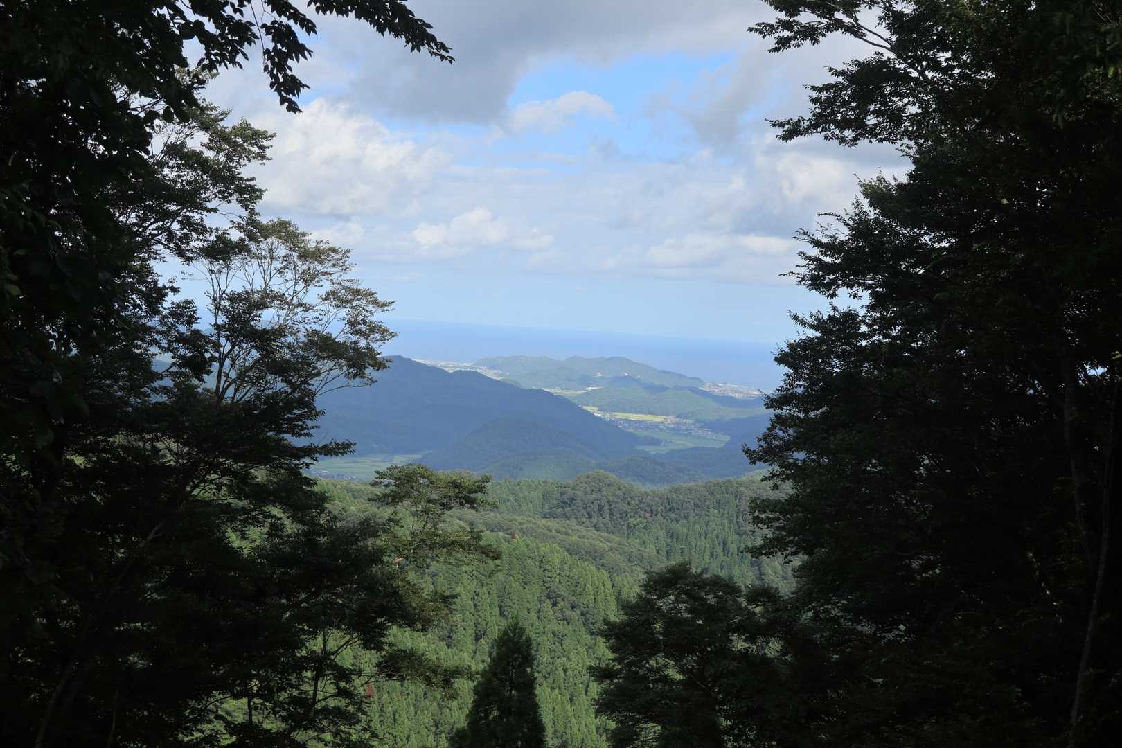 牛ヶ峰山 往復コースの写真