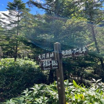 蓼科山へ向かいます