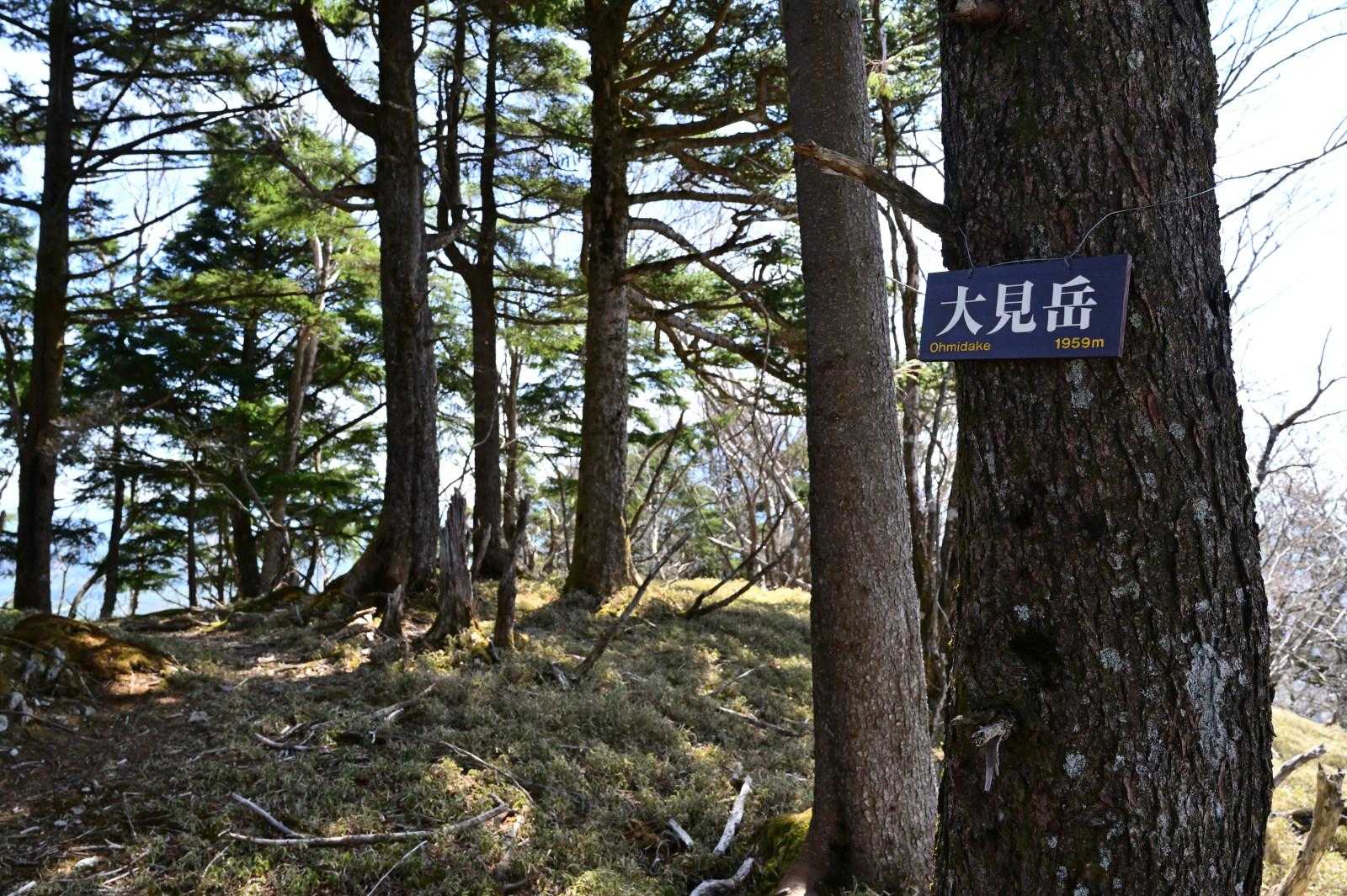 毛無山最高点を過ぎるとすぐに大見岳1956m