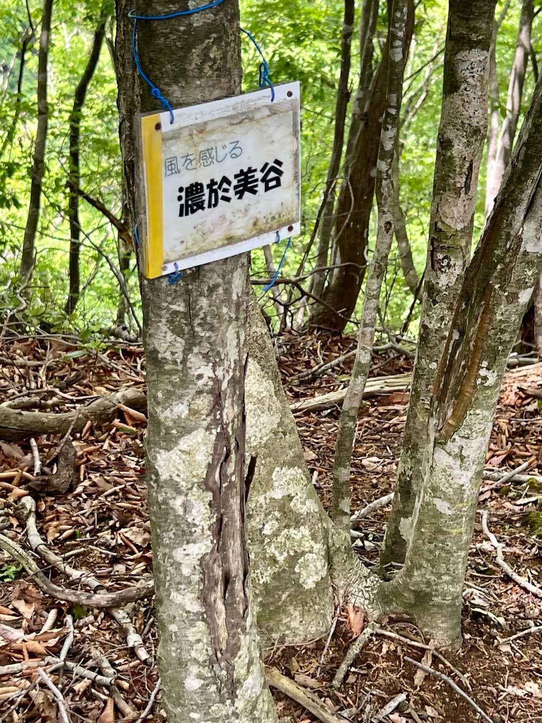ここに立って風を感じました。