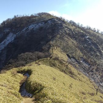斜面に雪が良い景色