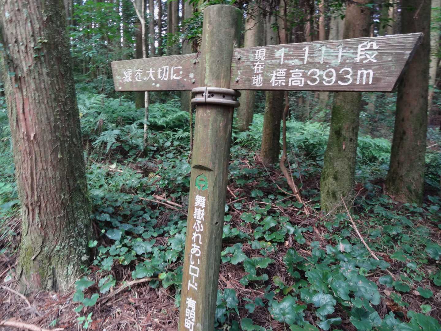 1,111段ごとに標識あり。