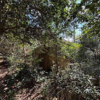 この辺はもうヘロヘロ🤮