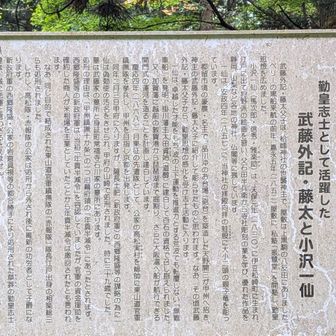 檜峰神社の神主は江戸幕末に私塾を開いての勤王思想を広めて志士の活動に影響を与えたこと寺社彫刻家だった小沢一仙が拝殿向背に竜を彫った際に感化されて志士活動に身を投じたとありますが、「高松隊」として東山道官軍鎮撫隊を挙兵し京都から甲州を目指して京都を出発したが、その後、偽官軍の汚名を受けて処刑されたとあります。赤報隊のことは知っていましたがこの話は知りませんでした。思わぬところで幕末の歴史の一端を知り得て有意義でした。