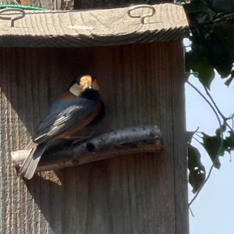 あっちも気になってるっっw