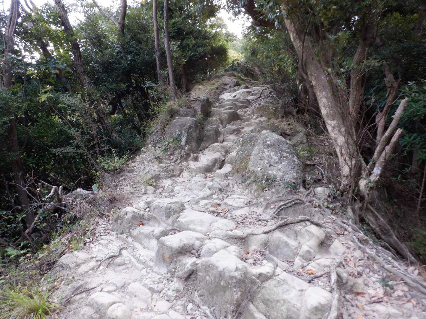 階段が終わると岩を歩く道になりました。石切り場のあった山らしい道。