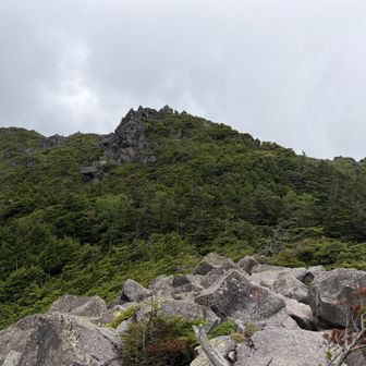 振り返って写真