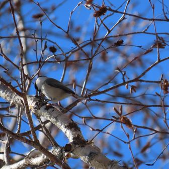 ん〜微妙w
なんか食ってるw