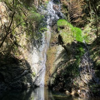 南天の滝✨
水量少ない…
