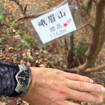 そんな、峨眉山⛰️山頂到着🛬