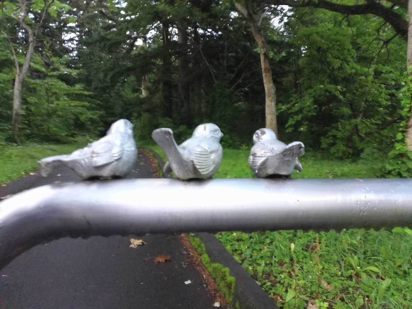 登山口キャンプ場より