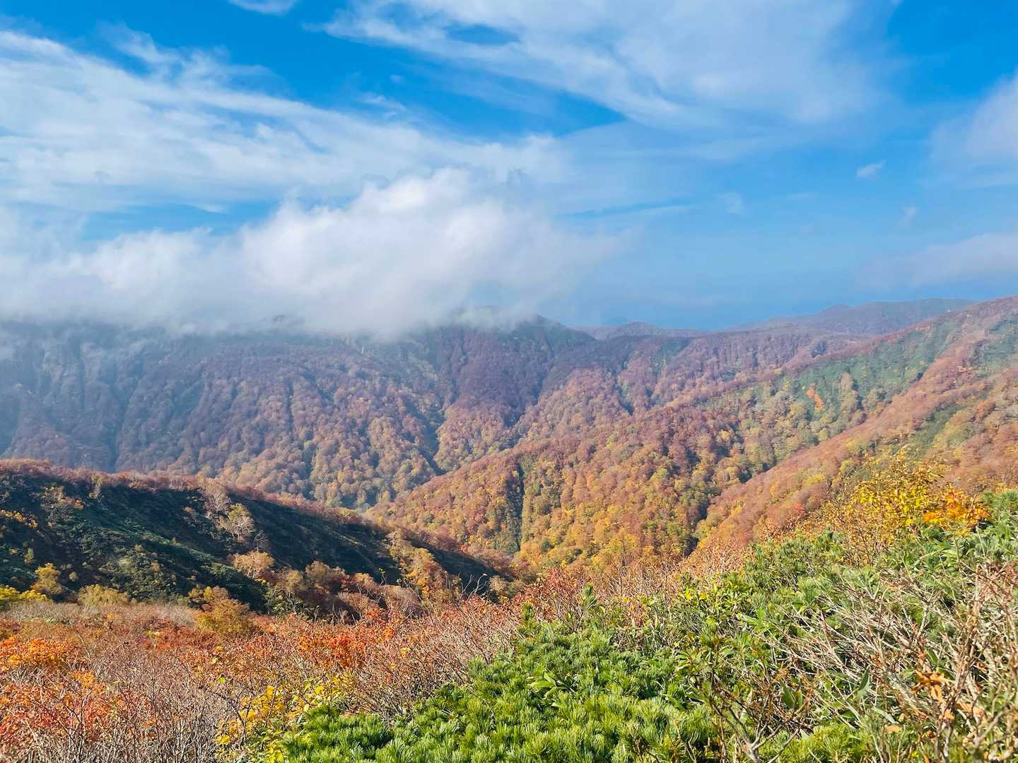 高畑登山口-高下岳-高下岳-根菅岳 往復コースの写真
