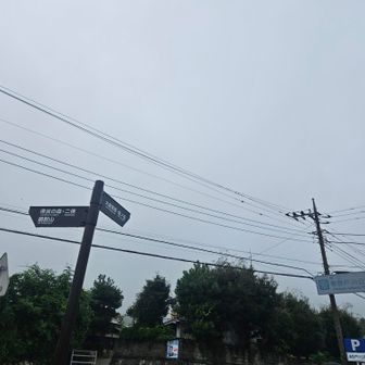 小雨のスタート
